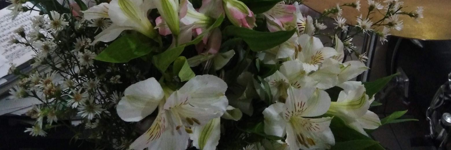 Alioskafd's profile banner image
