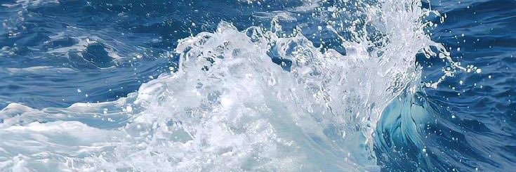 magda banner