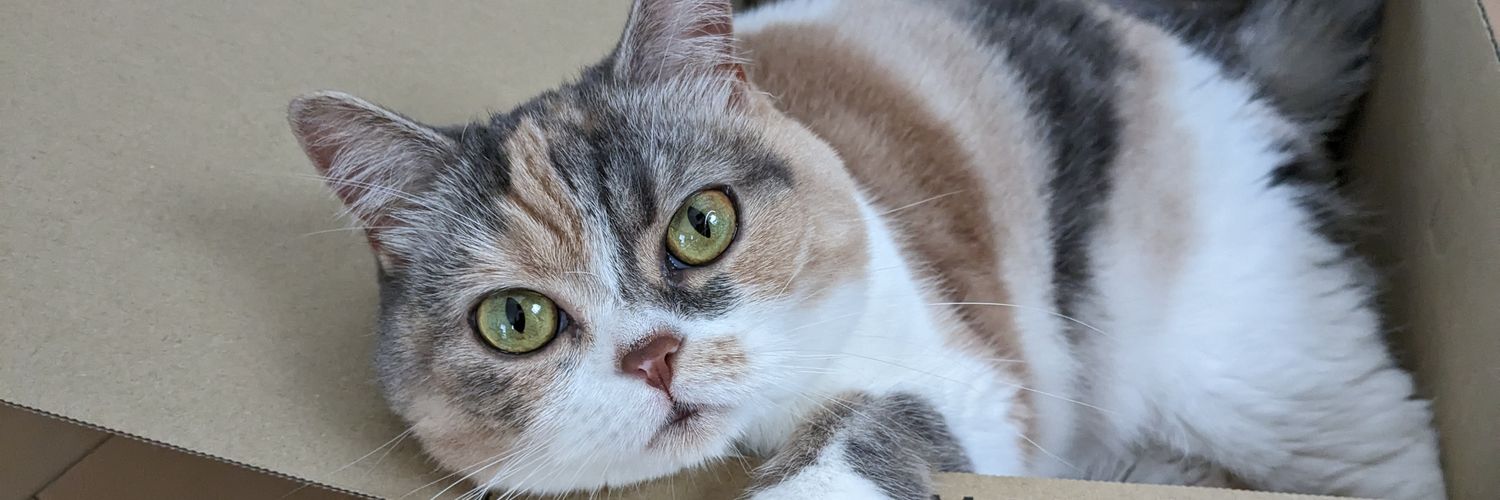 cheberinrin's profile banner image
