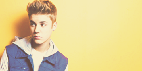 Allison Fry Alcott banner