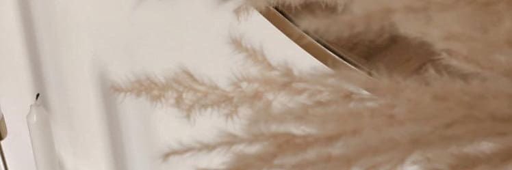 _llNUJ's profile banner image