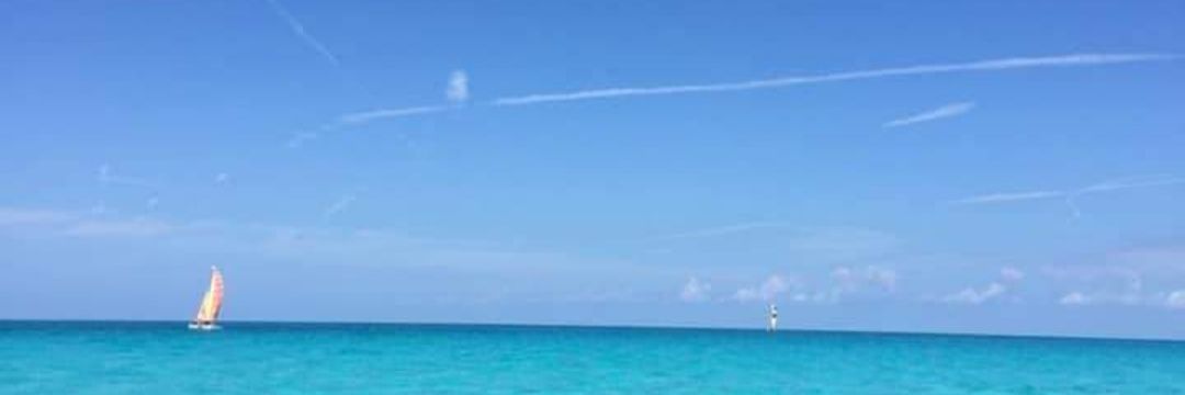 Cheve_1's profile banner image