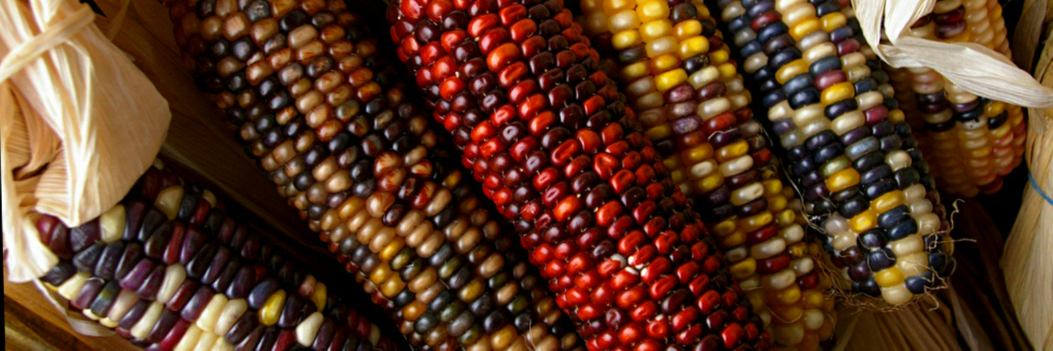 manganzoni's profile banner image