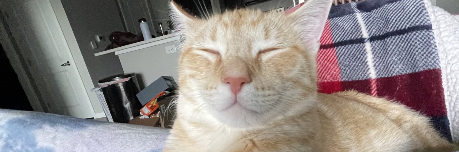 sierralooze's profile banner image