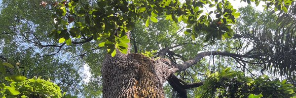 climateaidil Profile Banner