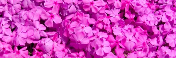 nabe_ok Profile Banner