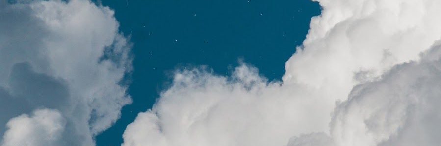 martinfish_'s profile banner image