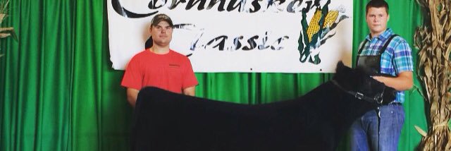 BognerPhillip's profile banner image