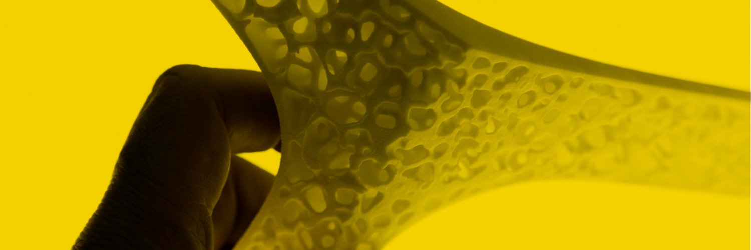 Rodrick banner