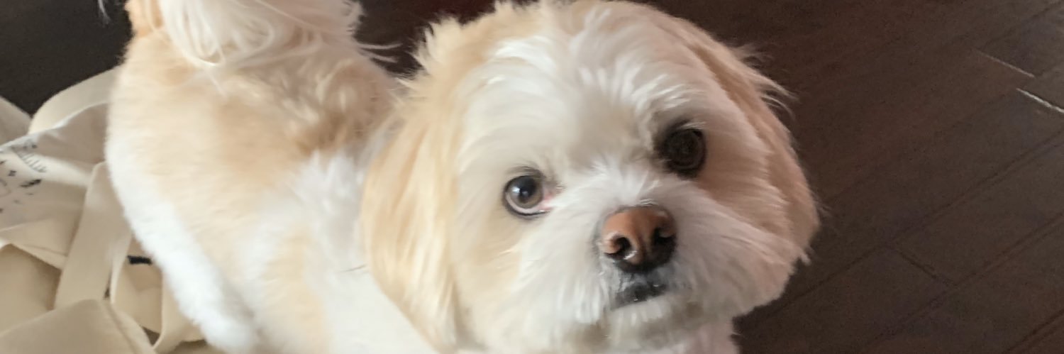 vinnthegreat's profile banner image