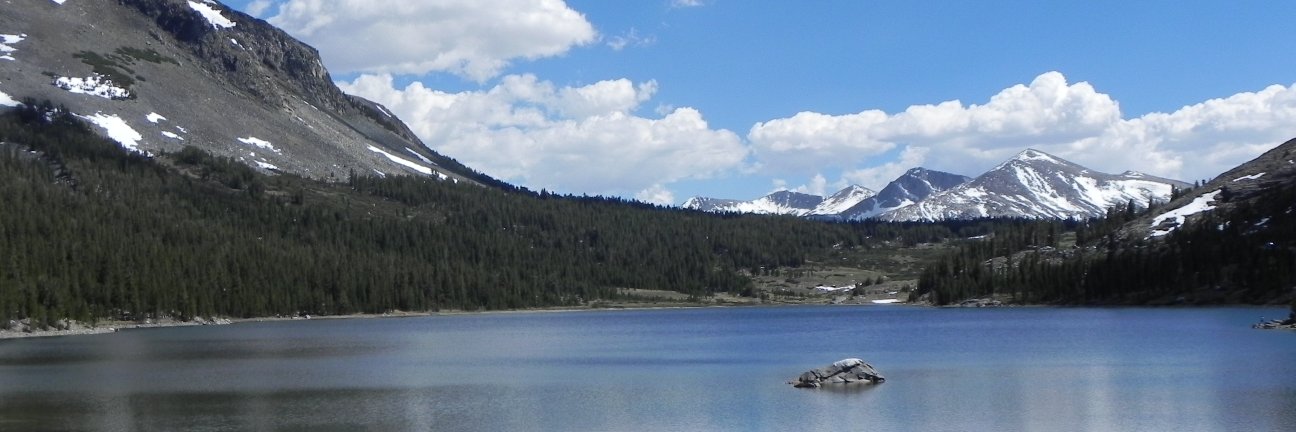 武夫老T🇺🇸 banner