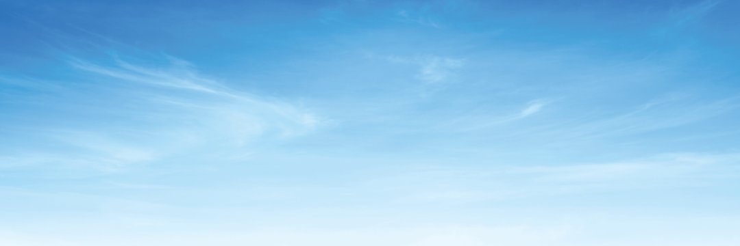meme's banner
