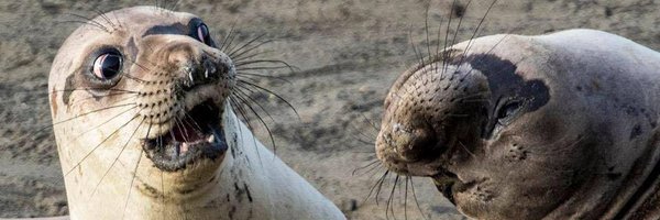 JonJungMBChB Profile Banner