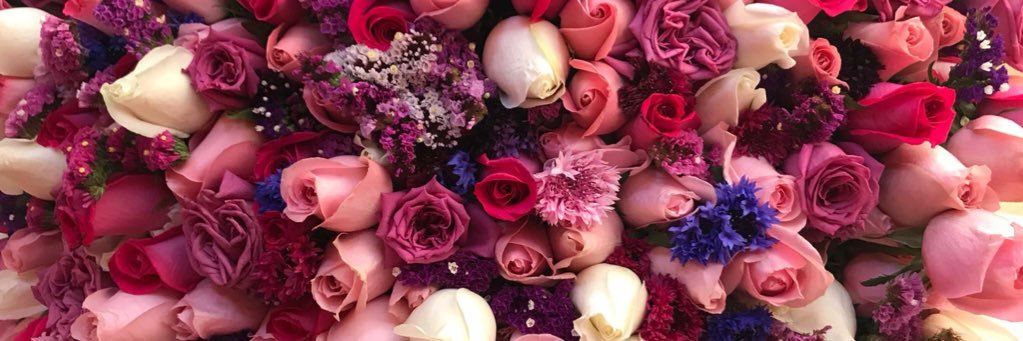 KTHY581's profile banner image
