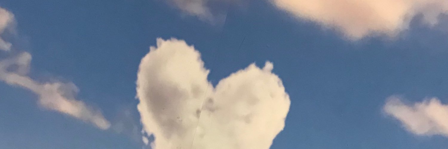 NashtriniLife's profile banner image