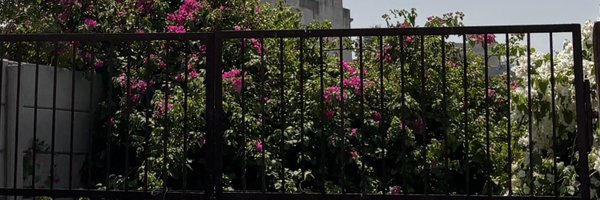 zeeaurav Profile Banner