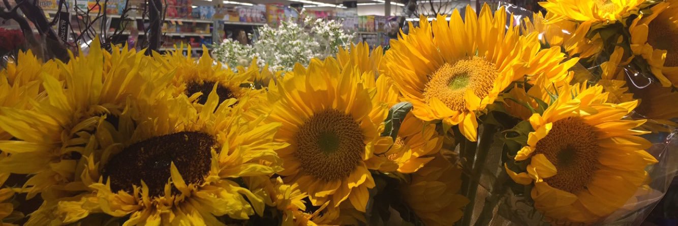 SunflowerrAnna's profile banner image