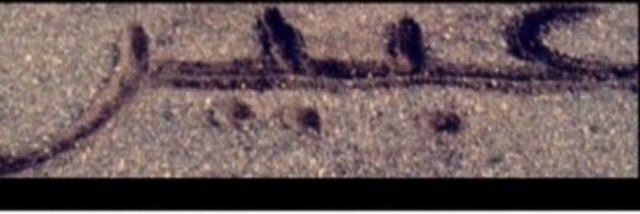 Reemk128's profile banner image