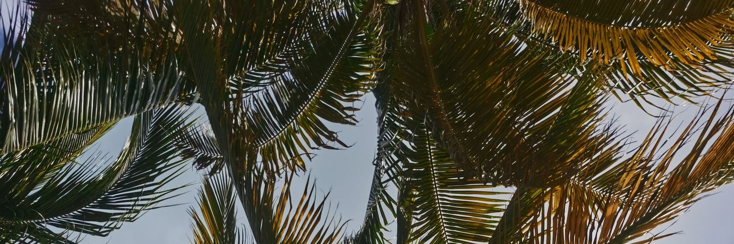 alefer63's profile banner image