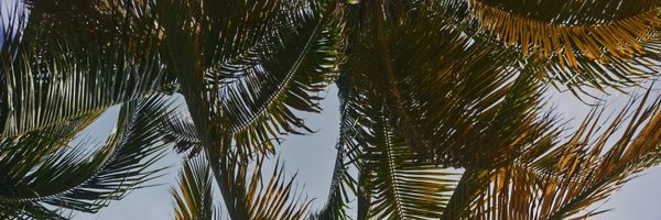 alefer63 Profile Banner
