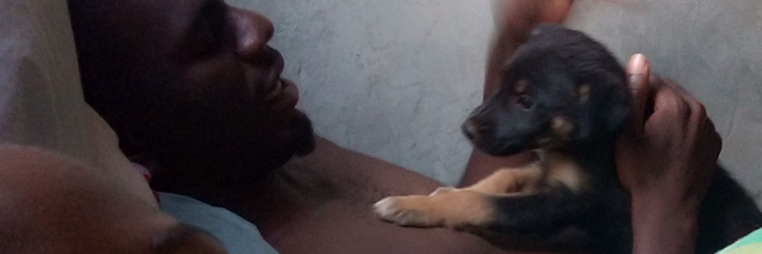 Sodemgud's profile banner image