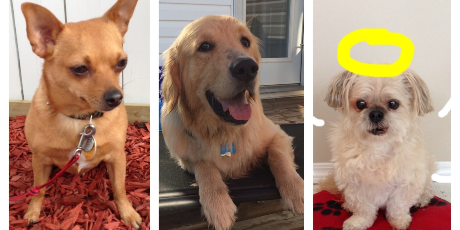 Tito Brohim 🌈😇 banner