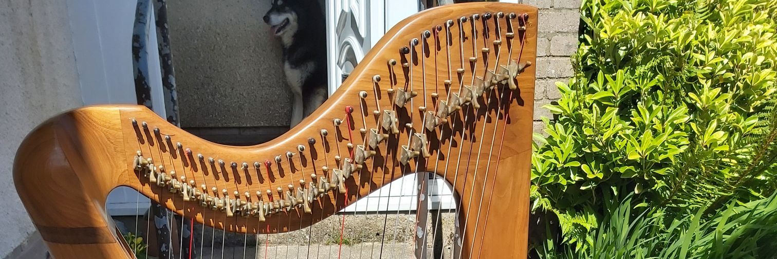 Helen McSkimming banner