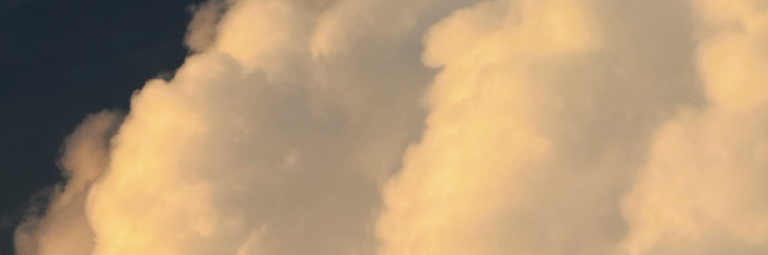 DEX banner