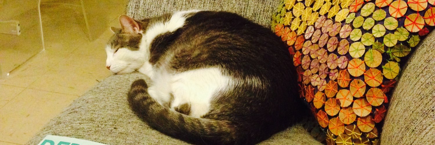 dinosaurthecat's profile banner image