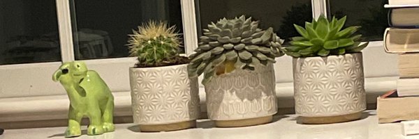 elliedlights Profile Banner