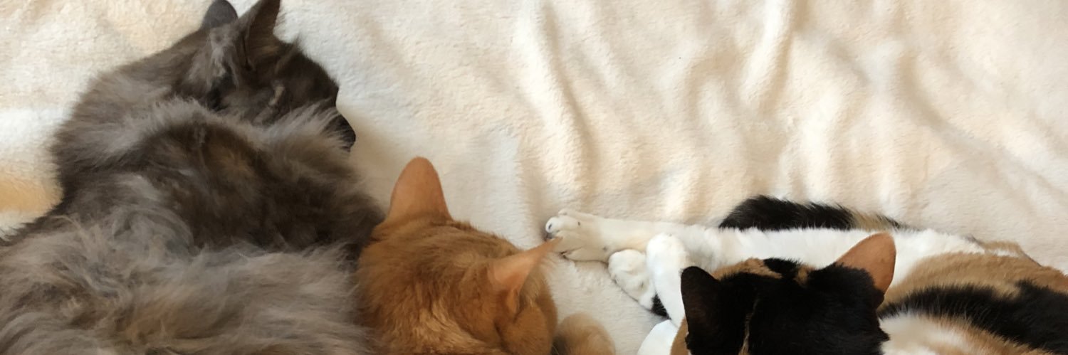 katze108's profile banner image