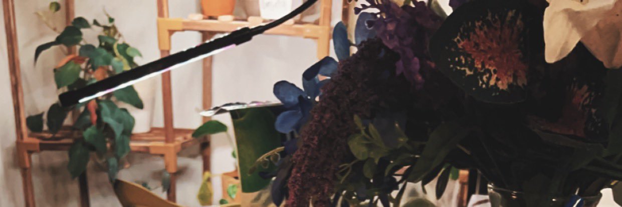 briintellect's profile banner image