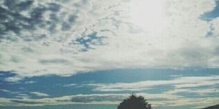 demetualma's profile banner image