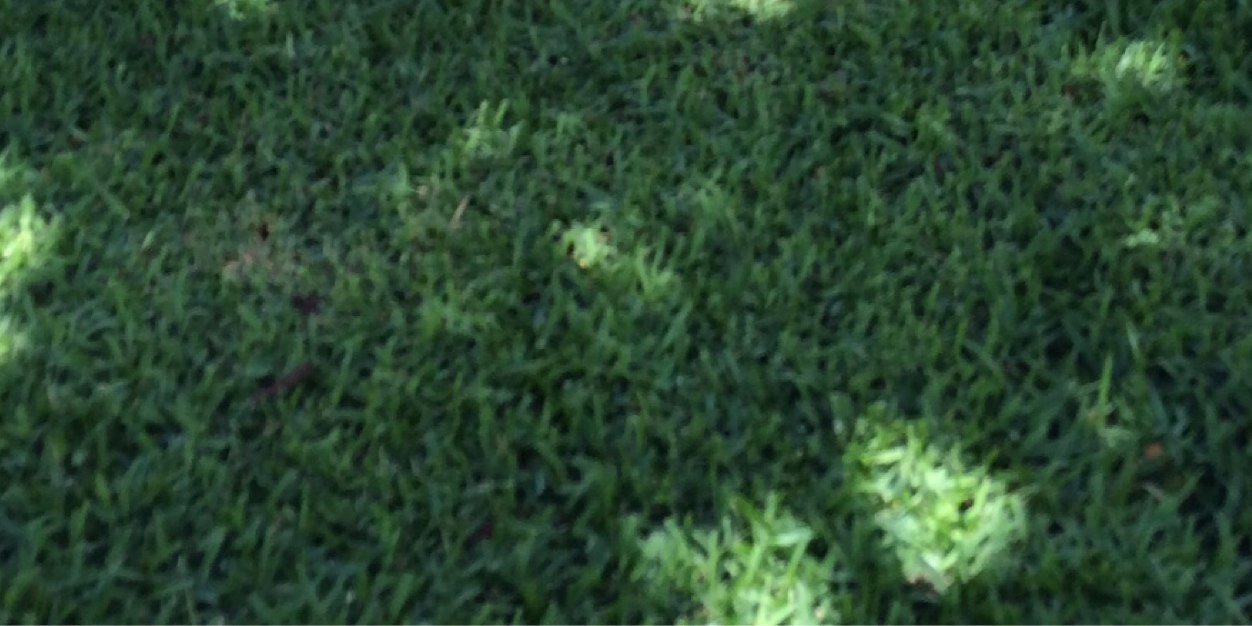 iambeater's profile banner image
