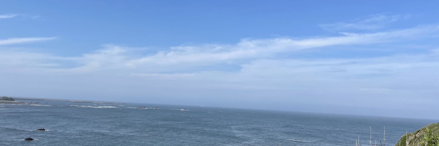 wohdo's profile banner image