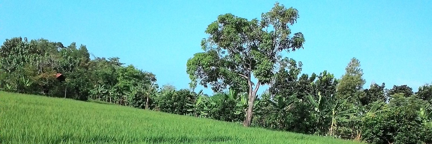BarryCristian's profile banner image