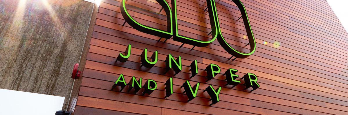 JuniperandIvy's profile banner image