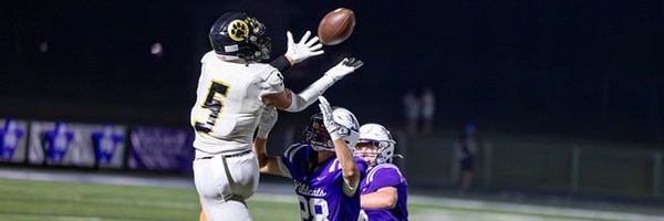 SashaPichnenko Profile Banner