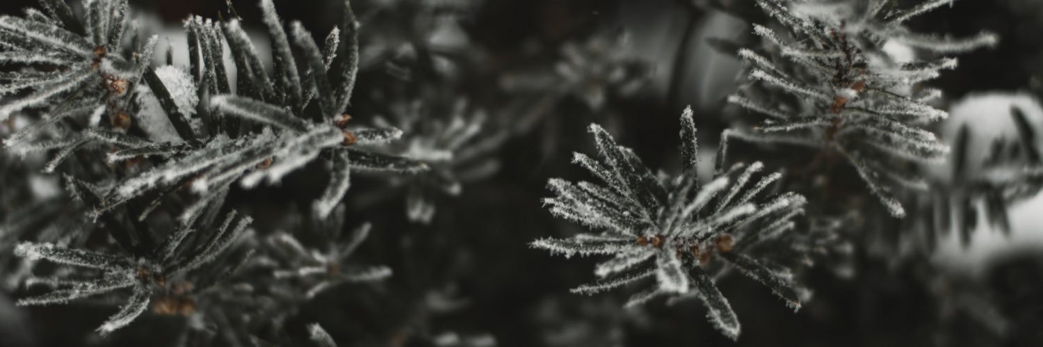 michaeljmeixner's profile banner image