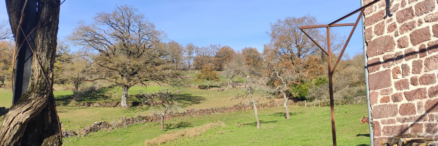 Julien Fenaille banner