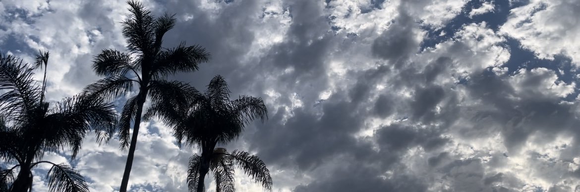 All-In Louise banner