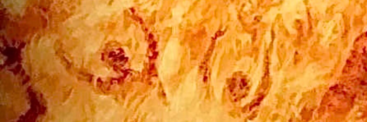JoseQueervoo's profile banner image