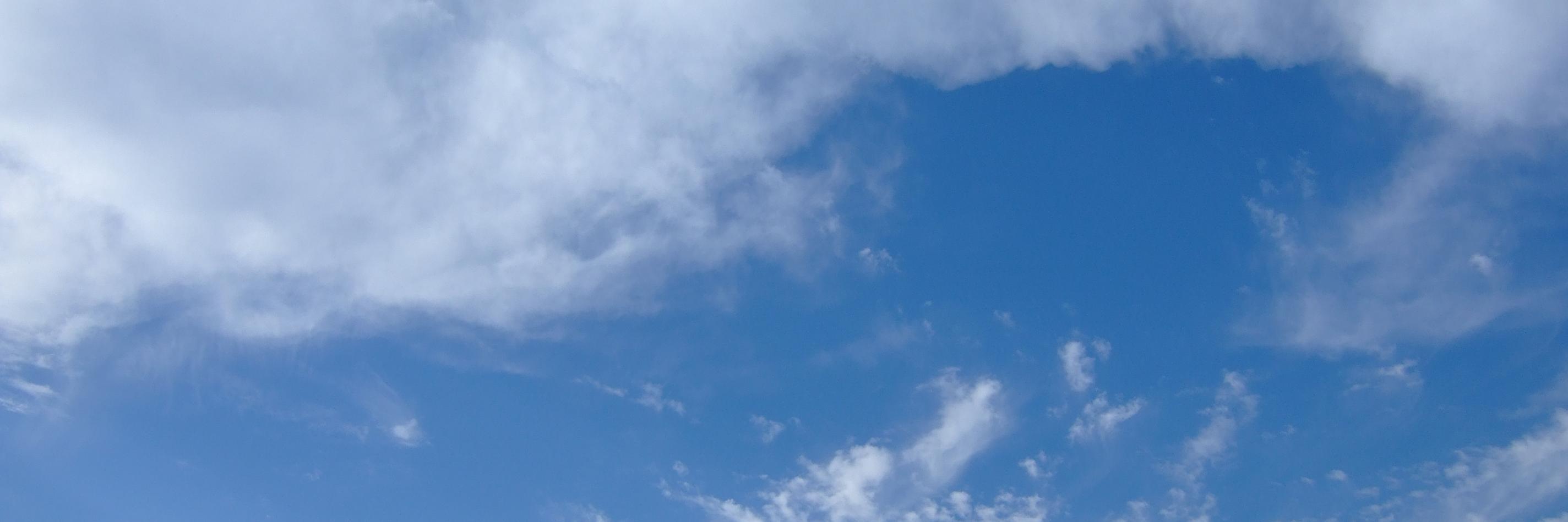 sakura1122223's profile banner image