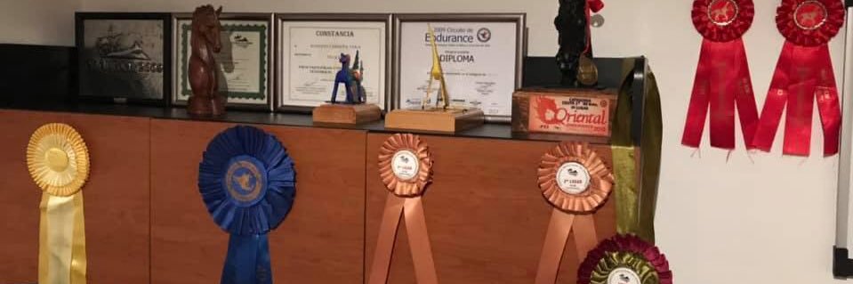 Roberto Cabrera Vera banner