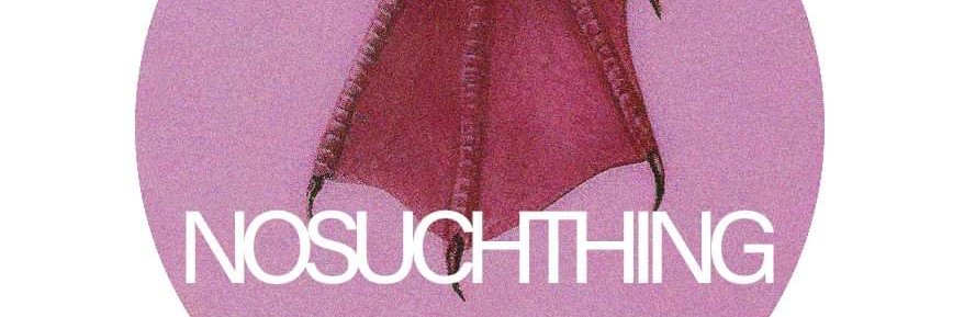 NoSuchThingRecords banner