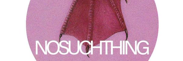 NSTRecords Profile Banner