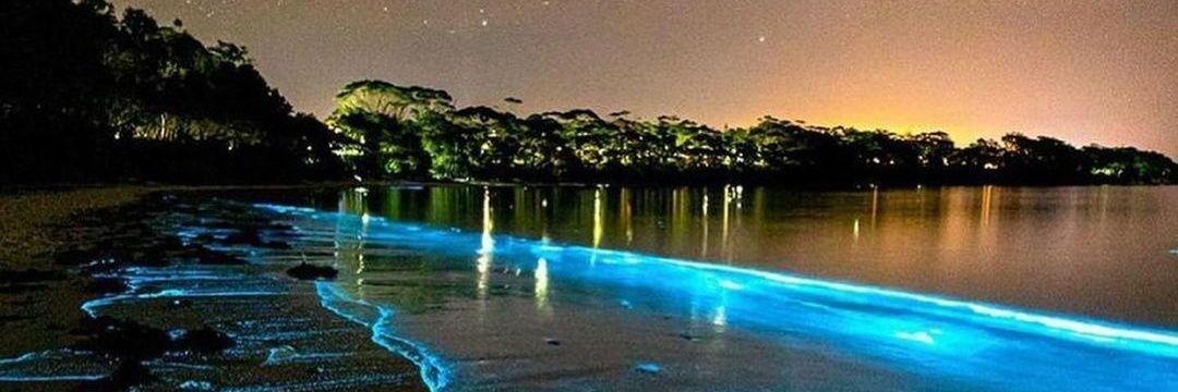 🎶B€H!(€17🐶🌙☀️⭐ banner