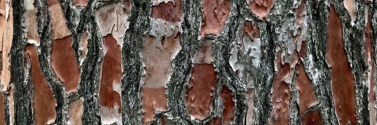 Pablo Garriga banner