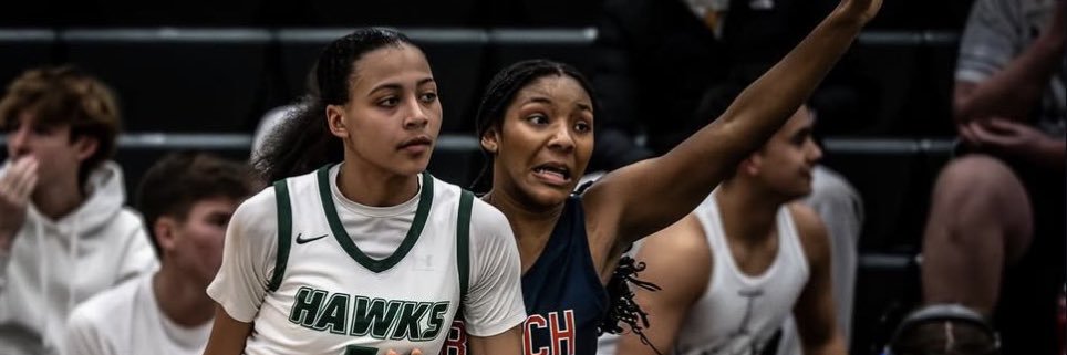 Seleste Ricks banner