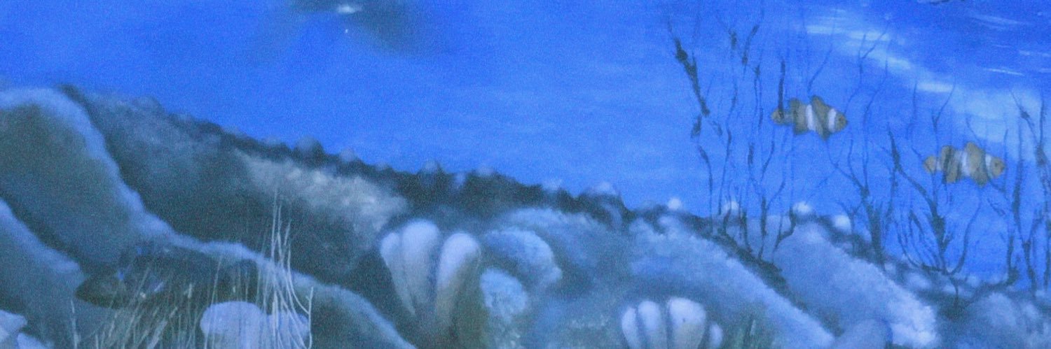 ecaa banner